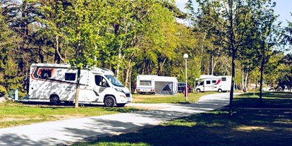 Reisemobilstellplatz - Art des Stellplatz: im Campingplatz - Garz (Vorpommern-Rügen) - Regenbogen Göhren
