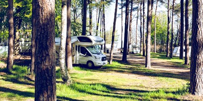 Reisemobilstellplatz - Wohnwagen erlaubt - Fischland - Camping - Regenbogen Nonnevitz