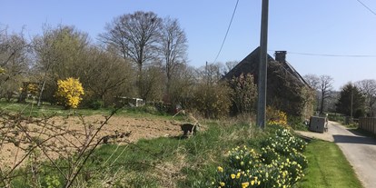 Reisemobilstellplatz - Hunde erlaubt: Hunde teilweise - Frankreich - Unser Haus, rechts geht es ab zum grossen Feld. - Normandie Bocage 65km vom Mont Saint Michel mitten im Feld mit Weitblick