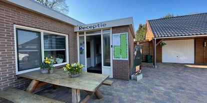 Motorhome parking space - WLAN: am ganzen Platz vorhanden - Drenthe - Camping De Kleine Reus