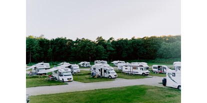 Motorhome parking space - Maaseik - Camperplaats Roerdalen