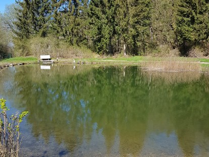 Reisemobilstellplatz - Frischwasserversorgung - Schwimmteich - Wohnmobil- und Campingpark Ambergau