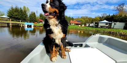 Reisemobilstellplatz - Hunde erlaubt: Hunde erlaubt - Pieczonki - Kemping nad stawem Harsz/ Camping am Teich Harsz