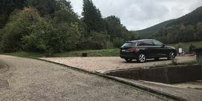Motorhome parking space - Bademöglichkeit für Hunde - Heuchelheim-Klingen - PalatinaCamping - Schönau Pfalz 