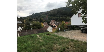 Reisemobilstellplatz - Umgebungsschwerpunkt: Berg - Pfalz - PalatinaCamping - Schönau Pfalz 