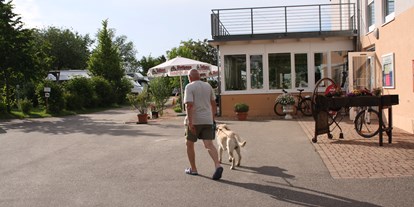 Reisemobilstellplatz - Hunde erlaubt: Hunde erlaubt - Schwarzwald - Camping Sulzbachtal