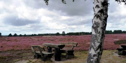 Reisemobilstellplatz - Umgebungsschwerpunkt: am Land - Niedersachsen - Nemitzer Heide zur Blüte Ende August - Nemitzer Heide Wendland