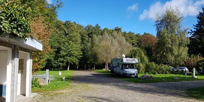 Reisemobilstellplatz - Umgebungsschwerpunkt: am Land - Mecklenburgische Ostseeküste - Stellplatz bei Caravan Krassow