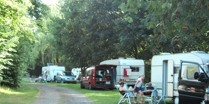 Motorhome parking space - Spielplatz - Rhineland-Palatinate - auch für Gruppen ist unser Platz geeignet - Country Camping Schinderhannes
