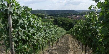 Reisemobilstellplatz - Wohnwagen erlaubt - Rheinland-Pfalz - Waldlaubersheim im Weinbaugebiet "Nahe" - Weingut Paulus