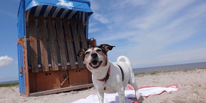 Reisemobilstellplatz - Swimmingpool - Nordseeküste - Hunde sind auf dem Wohnmobilstellplatz in Harlesiel herzlich Willkommen! - Wohnmobilstellplatz an der Mole