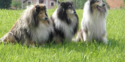 Reisemobilstellplatz - Hunde erlaubt: Hunde erlaubt - Mittelkroatien - Slavonien - Autocamp Radonja - Autocamp Radonja