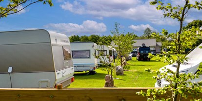 Motorhome parking space - Duschen - Binnenland - Wohnmobil + Caravanstellplatz - Treene Camping