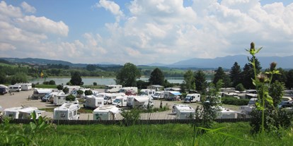 Reisemobilstellplatz - Art des Stellplatz: vor Campingplatz - Bayern - Via Claudia Camping