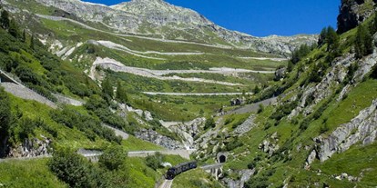 Reisemobilstellplatz - Schweiz - Stellplatz Alpenlodge Grimselpass 