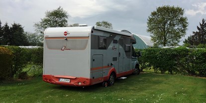 Reisemobilstellplatz - Wohnwagen erlaubt - Dänemark - Platz 29 ist ein schöner Platz mit grünem Gras - Egense Strand Camping