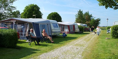 Reisemobilstellplatz - Wohnwagen erlaubt - Dänemark - Wir haben Hecken zwischen den Stellplätze bei Egense Strand Camping - Egense Strand Camping