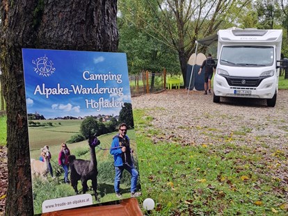 Reisemobilstellplatz - Hunde erlaubt: Hunde erlaubt - Österreich - Camping direkt an der Alpakaweide