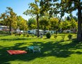 Wohnmobilstellplatz: Camping Lido Verbano