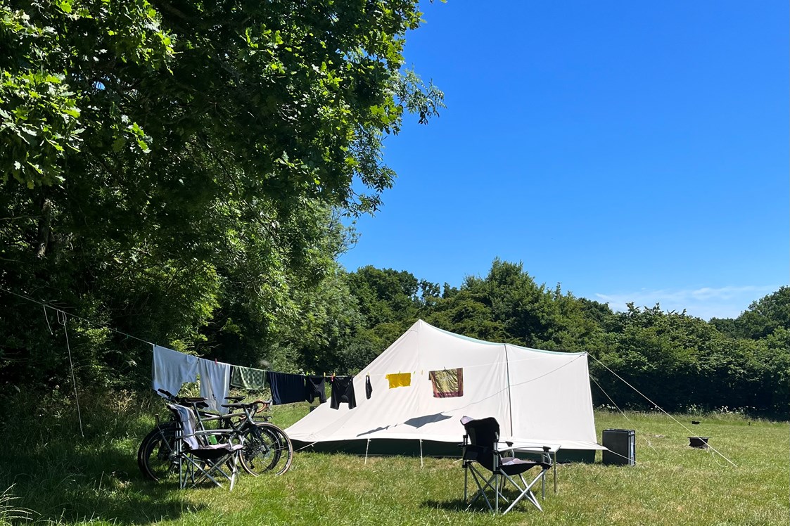 Wohnmobilstellplatz: Star Field Camping & Glamping
