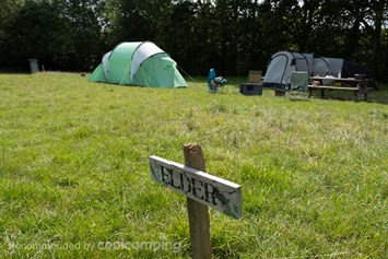 Wohnmobilstellplatz: Star Field Camping & Glamping