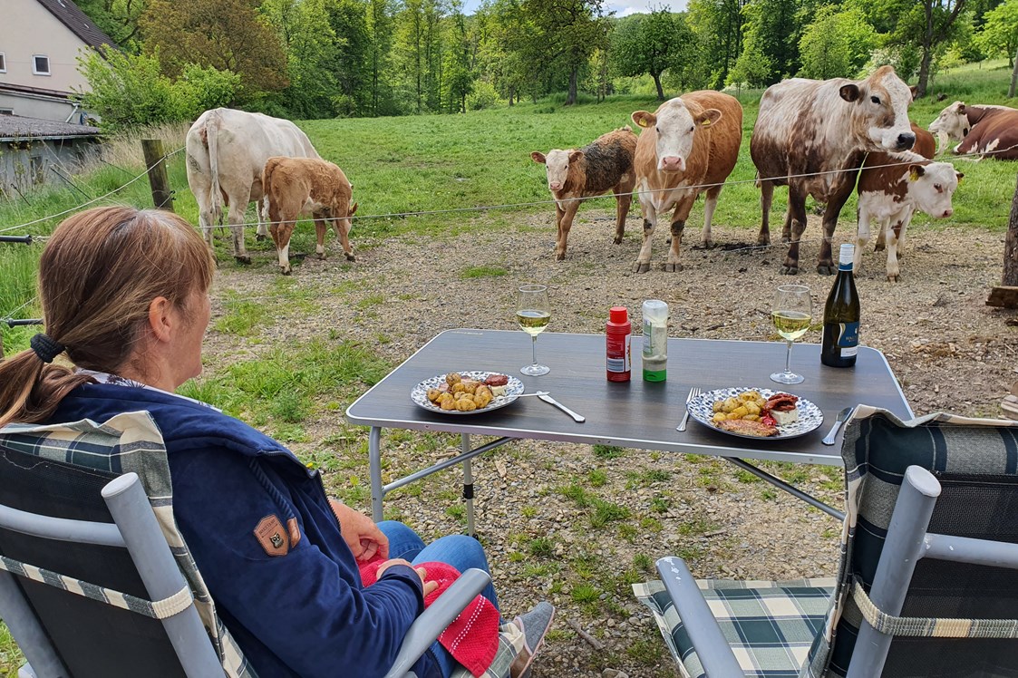 Wohnmobilstellplatz: Gemeinsames Abendessen mit den Kühen - Ferienhof Welling