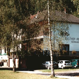 Wohnmobilstellplatz: Gasthaus-Pension Waldesruhe