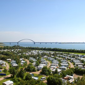 Wohnmobilstellplatz: Blick auf die Fehmarnsundbrücke - Stellplatz Camping Strukkamphuk