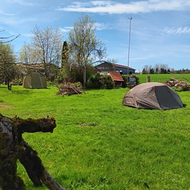 Wohnmobilstellplatz: Zeltplatz - Biehlerhof Camping