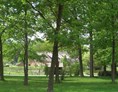 Wohnmobilstellplatz: Der Blick vom Stellplatz über die Teichanlage zum Hotel Forellenhof. Bäume die Schatten bieten und viel Grünfläche zum spielen oder Picknicken. - Stellplatz am Ringhotel Forellenhof
