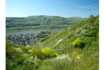 Wohnmobilstellplatz: Blick von oben ins Rheintal - Stellplatz im Wildgehege oberhalb des Rheintals