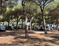 Wohnmobilstellplatz: Schattige Stellplätze - La Pampa Parking Area & Camp