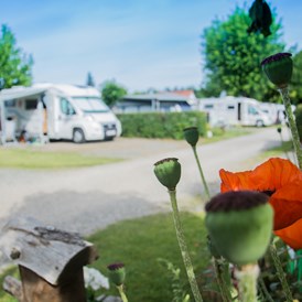 Wohnmobilstellplatz: Weinland-Camping