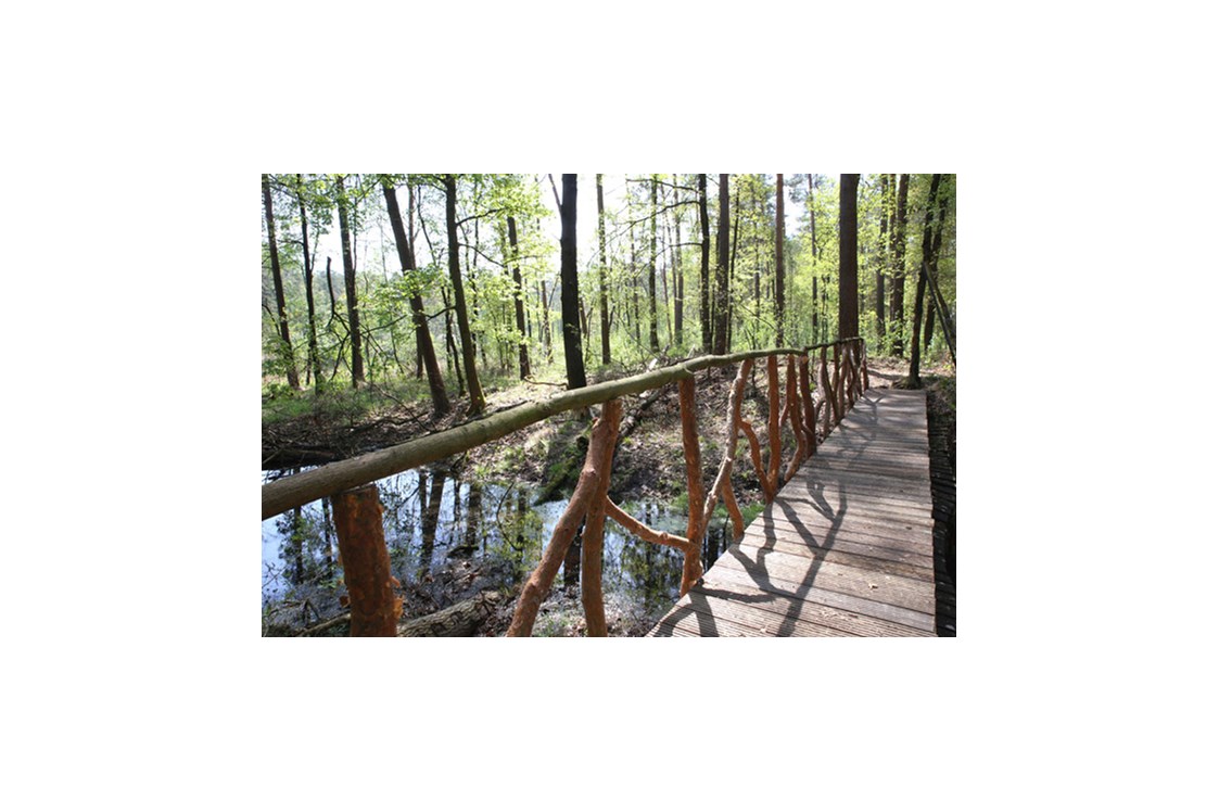 Wohnmobilstellplatz: Brücke über Bach auf unserem Grundstück - Waldcamping Olympiasee