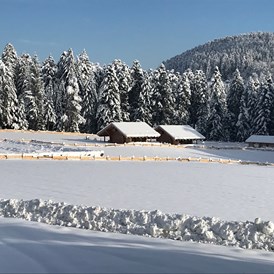 Wohnmobilstellplatz: Winter auf der Alm - Almruhe "Die erste Alm im Nordschwarzwald"
