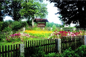 Wohnmobilstellplatz: Farbenfrohe Natur in der Nähe des Landgasthofes GUT SCHÖNHOF - Gut Schönhof