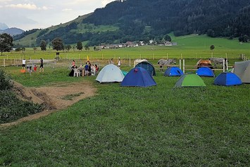 Wohnmobilstellplatz: Camping am Eggerhof - Eggerhof Saalfelden
