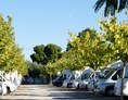 Wohnmobilstellplatz: Valencia Camper Park SL
