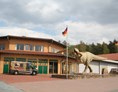 Wohnmobilstellplatz: Der Dinosaurierpark Münchehagen bietet ein Freizeitvergnügen für die ganze Familie und ist nur 6 km entfernt. - Stellplatz Rehburg-Loccum "Am Meerbach"