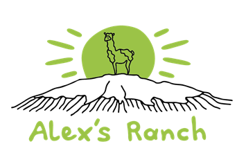 Wohnmobilstellplatz: Alex´s Alpaka Ranch
Stellplatz am Bauernhof
Besichtigung und Wanderungen möglich - Alex‘ Alpaka Ranch