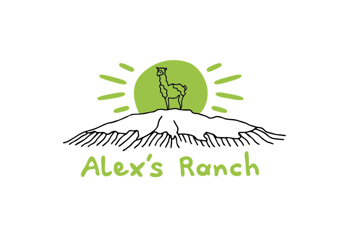 Wohnmobilstellplatz: Alex´s Alpaka Ranch
Stellplatz am Bauernhof
Besichtigung und Wanderungen möglich - Alex‘ Alpaka Ranch