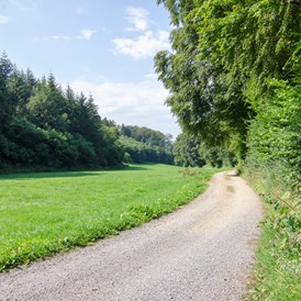 Wohnmobilstellplatz: Herrliche Wander und Fahrradwege - Naturcampingstellplätze auf dem Ferienhof Verse im Sauerland.