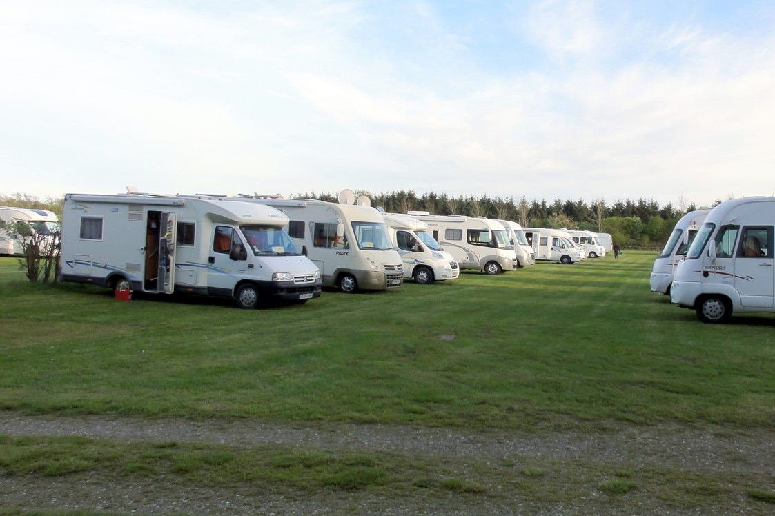 Wohnmobilstellplatz: Stellplatze am campingplatz für Wohnmobil - Stellplatz Hirtshals / Tornby Strand Camping