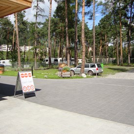 Wohnmobilstellplatz: Campingplatz Viamala Thusis