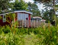 Wohnmobilstellplatz: Gemütliche Unterkünfte wie Chalets, Tiny-Häuser und Campingfässer - Naturcamping Lüneburger Heide