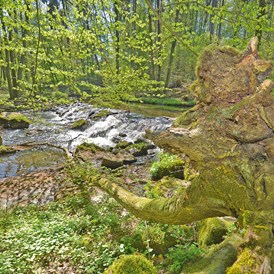 Wohnmobilstellplatz: Wanderweg Rhöner Extratour "Der Thulbataler" mit erwanderbarer Naturpark Kernzone - Naturcamp Thulbatal