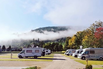 Wohnmobilstellplatz: Womobilstellplatz - Natur-Camp Tannenfels