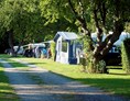 Wohnmobilstellplatz: Guldborg Camping & Hytter