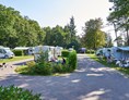 Wohnmobilstellplatz: Vakantiepark Het Lierderholt