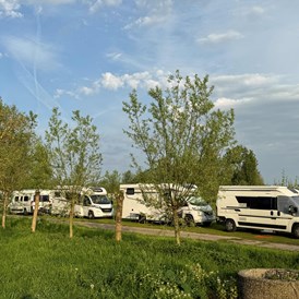 Wohnmobilstellplatz: Camperplaats Buitenplaats Molenwei